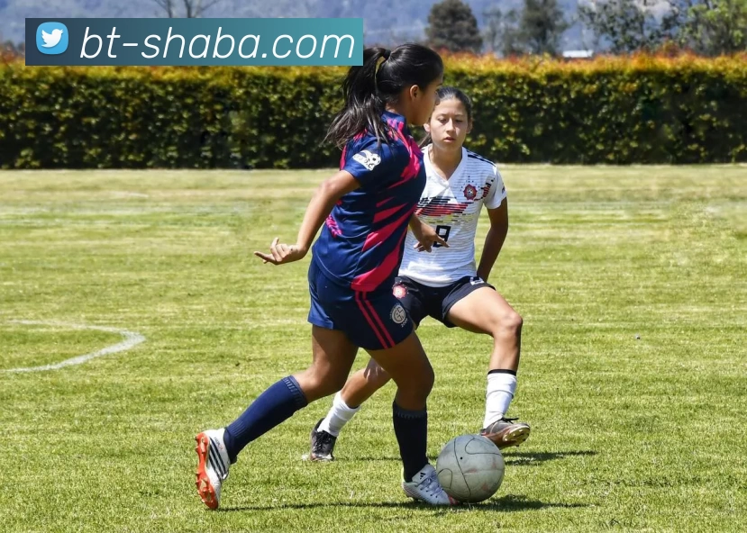 沙巴体育平台服务体系